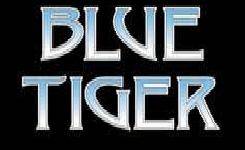 logo Blue Tiger